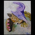 Cat with a Magician's Hat